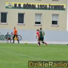 zdjęcie nr 103