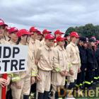zdjęcie nr 184