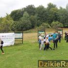 zdjęcie nr 72