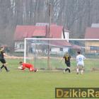 zdjęcie nr 43