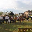 zdjęcie nr 278