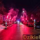 zdjęcie nr 15
