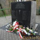 Fotka nr 5 z 13