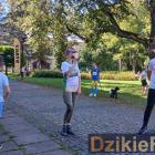 zdjęcie nr 19