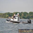 zdjęcie nr 185