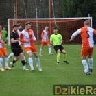zdjęcie nr 10