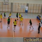 zdjęcie nr 133