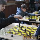 zdjęcie nr 7
