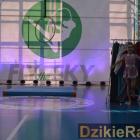 zdjęcie nr 148
