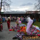 zdjęcie nr 51