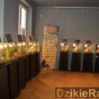zdjęcie nr 9
