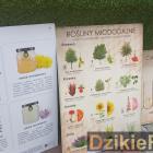 zdjęcie nr 44