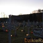 zdjęcie nr 51