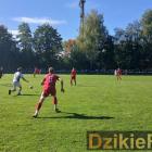 zdjęcie nr 7