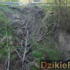 zdjęcie nr 14