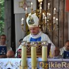 zdjęcie nr 65