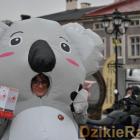 zdjęcie nr 44