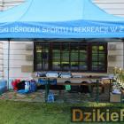 zdjęcie nr 14