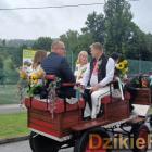 zdjęcie nr 15