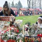 zdjęcie nr 8