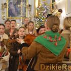 zdjęcie nr 60