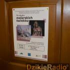zdjęcie nr 12
