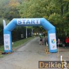 zdjęcie nr 35