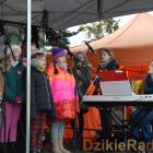 zdjęcie nr 72