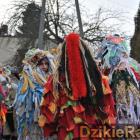 zdjęcie nr 41