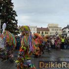 zdjęcie nr 307