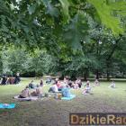 zdjęcie nr 40