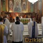 zdjęcie nr 254