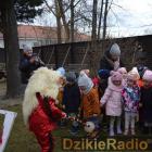 zdjęcie nr 55