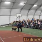 Fotka nr 2 z 41