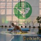 zdjęcie nr 169