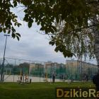 zdjęcie nr 90