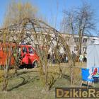 zdjęcie nr 39
