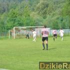 zdjęcie nr 12