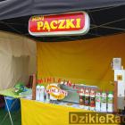 zdjęcie nr 300