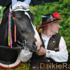 zdjęcie nr 16