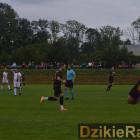zdjęcie nr 12