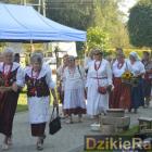 zdjęcie nr 21