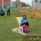 zdjęcie nr 27