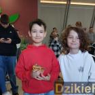 zdjęcie nr 22
