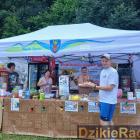 zdjęcie nr 335