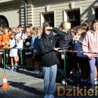 zdjęcie nr 10