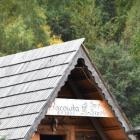 zdjęcie nr 7