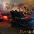 Fotka nr 2 z 4