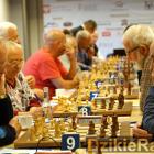 Fotka nr 1 z 3