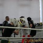 Fotka nr 4 z 15